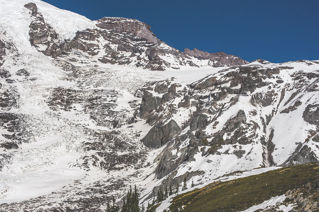 Photos: From Paradise in Mount Rainier National Park